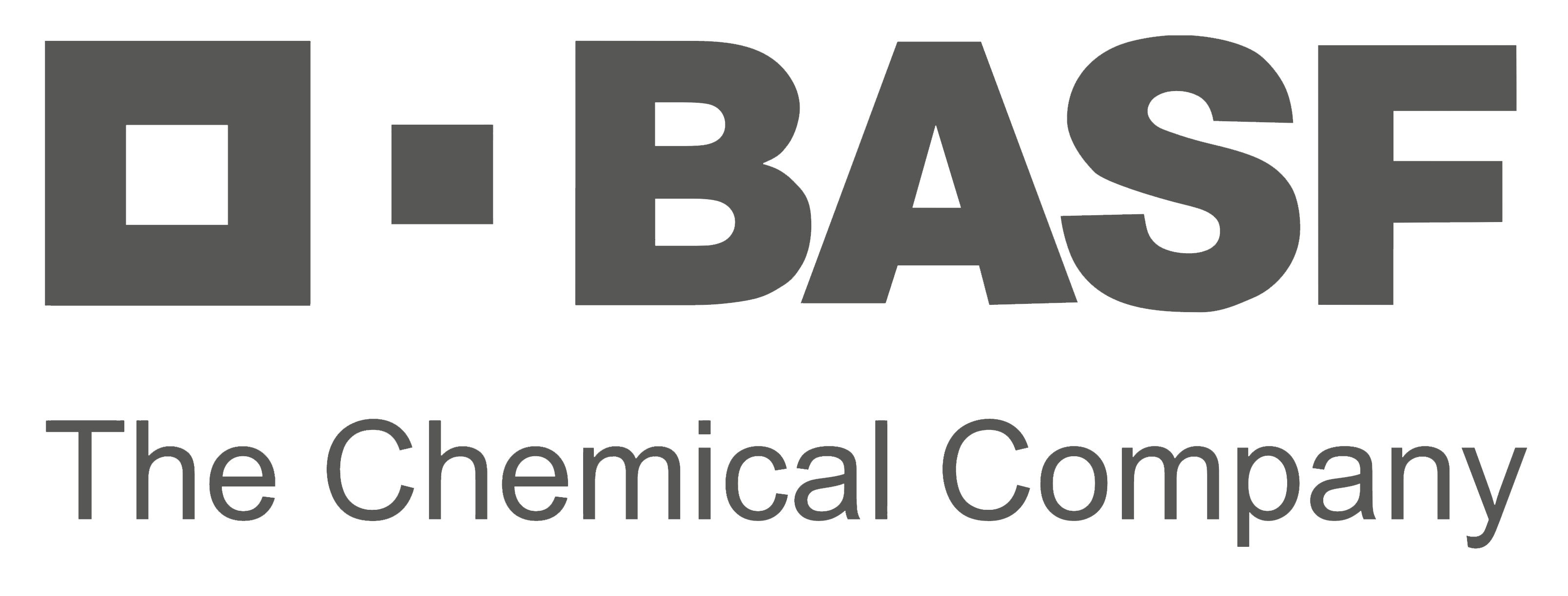 Logo partner BASF